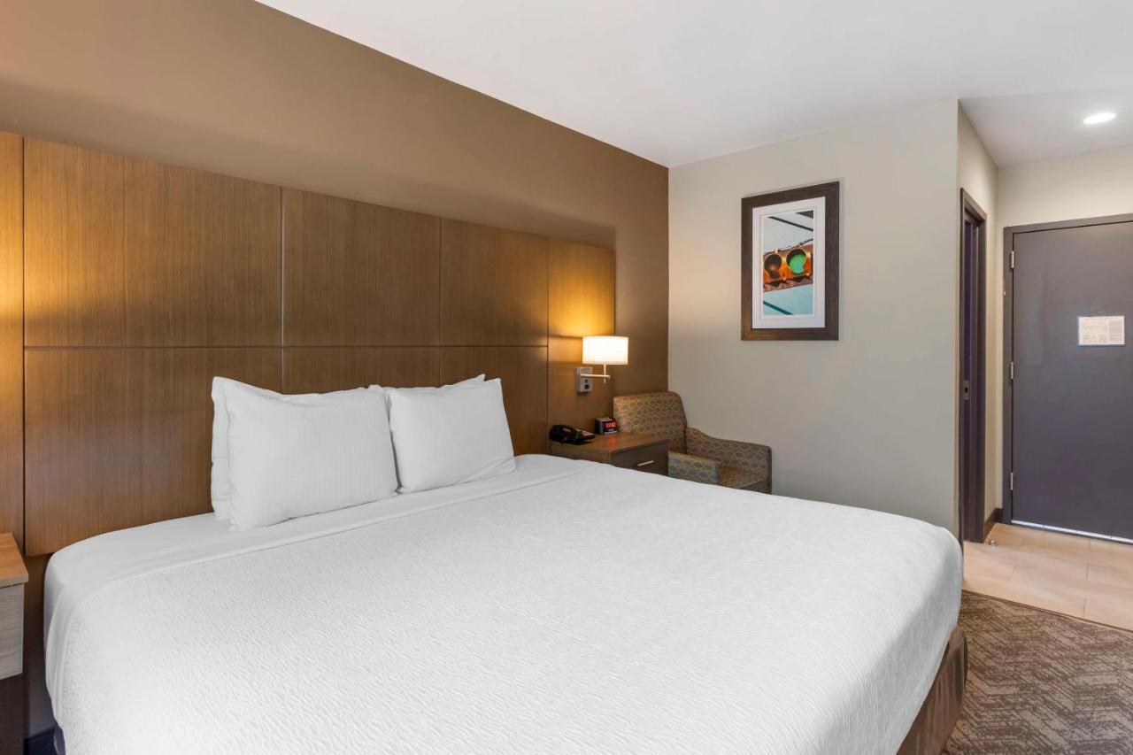 King Room with Roll-in Shower - Disability Access/Non-Smoking