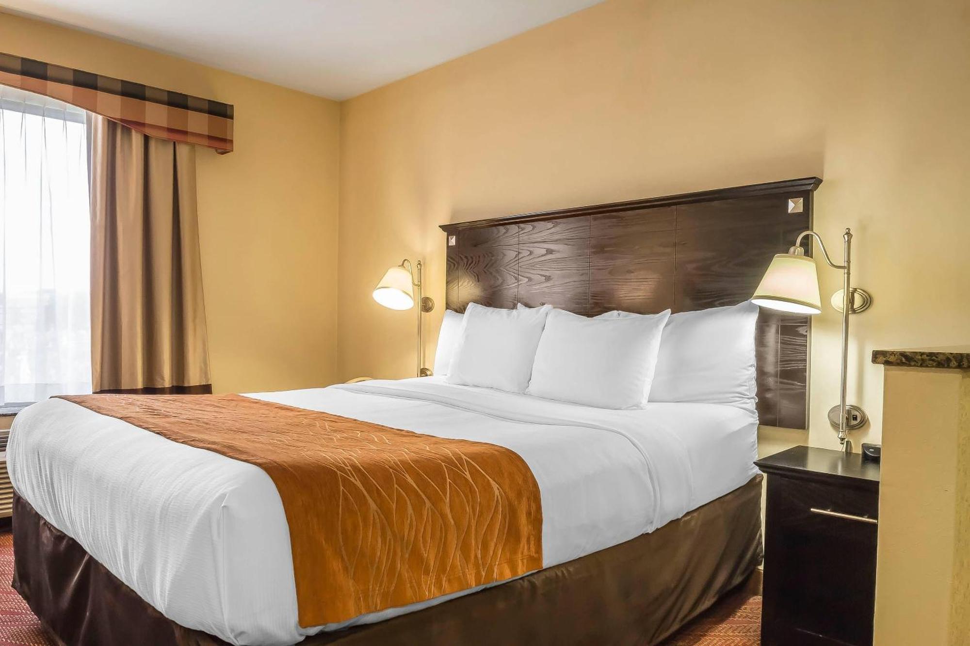 Suite King Bed,1697829686:JPEG