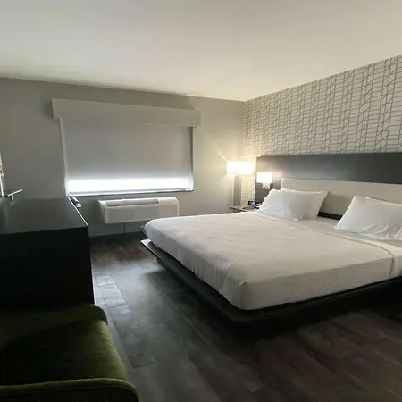 Best Western Plus City Line Hotel-3