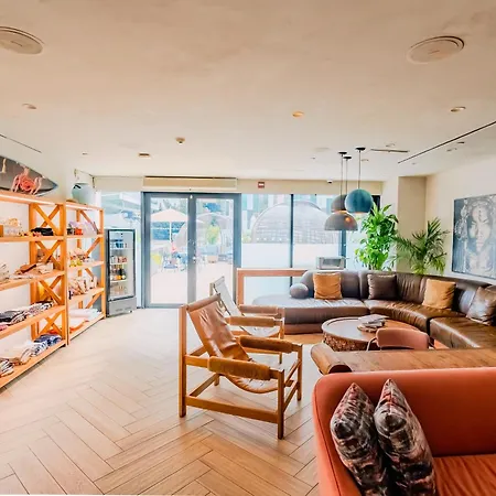 Coda Williamsburg-3